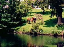 Ireland-Sligo-Atlantic to Markree Castle Ride